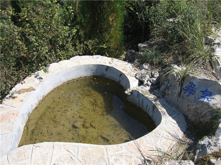 泉水泳池